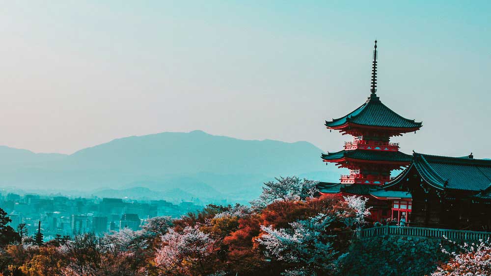 Conheça alguns animais típicos do Japão