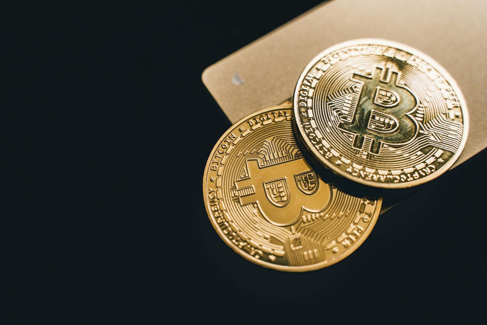 Como Escolher uma Carteira Digital Segura para Armazenar Seus Ativos