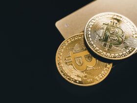 Como Escolher uma Carteira Digital Segura para Armazenar Seus Ativos